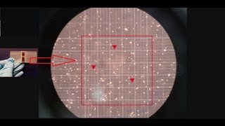 Hemocytometer  Counting of cells  Amrita University [upl. by Borreri]