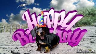 Teckel Dog  Dachshund For Her  HAPPY BIRTHDAY [upl. by Derriey393]