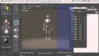 POSER Tutorial Lesson 1 Getting around the POSER interface [upl. by Atined]