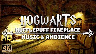 Hufflepuff Fireplace  4K Harry Potter Music amp Ambience [upl. by Weintrob]