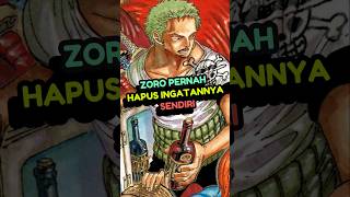 Zoro Hapus Ingatannya anime reviewanime onepiece [upl. by Cheatham]