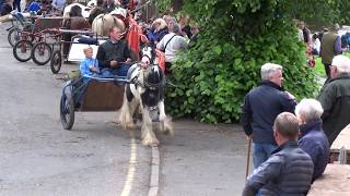 Appleby Horse Fair 2017 in Westmoreland with Gypsy CaraVanners [upl. by Eam899]