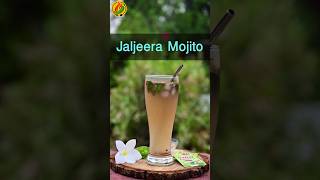 You Wont Believe the Magic of Jaljeera in This Mojito Recipe [upl. by Ahsitram601]