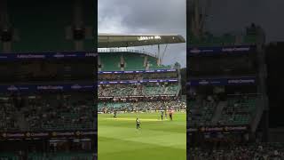 Haris rauf ausvspak pakistanicricketer cricket [upl. by Ennoved]