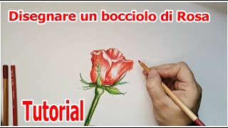 Come disegnare un bocciolo di rosa con le matite acquerellabili Tutorial [upl. by Luemas941]