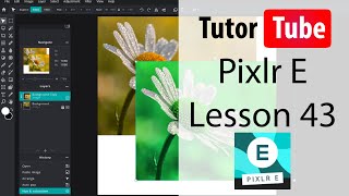 Pixlr E Tutorial  Lesson 43  Free Distort [upl. by Niatsirhc]