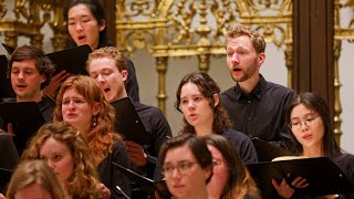 Lasset uns den nicht zerteilen – Bach  Utrechts Studenten Koor en Orkest olv Stijn Berkouwer [upl. by Allana]