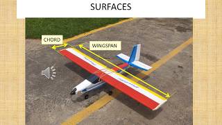 HOW TO SIZE THE WING and other lifting surfaces [upl. by Keyte]