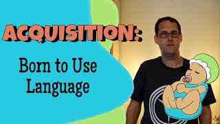 Language Acquisition and Universal Grammar [upl. by Neyugn]