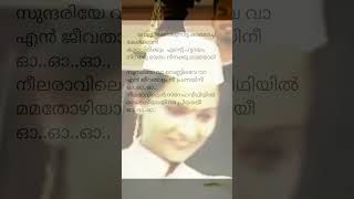 Sundariye vaa ❤️song lyrics albumlyrics shortsfeed songlyrics love music trending malayalam [upl. by Odraboel717]