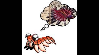 Anomalocaris my beloved [upl. by Seldon]