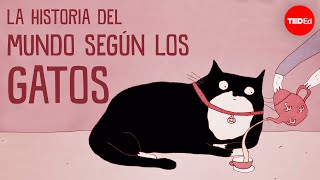 La historia del mundo según los gatos  EvaMaria Geigl [upl. by Dranoc29]