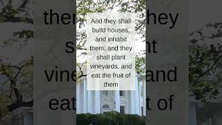 Build Homes amp Plant Vineyards shorts bibleverse affirmations quotes [upl. by Ingrim]