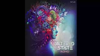 Altered State  Adhd [upl. by Clarice671]