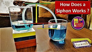 How Does a Siphon really Work 🤔  Step by step Explanation [upl. by Siegel]