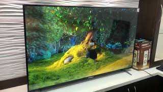 FOXSKY OLED TV [upl. by Nalek507]