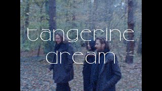 Tangerine Dream  Youre Always On Time Edit Official Music Video [upl. by Reinold645]