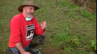 Best Fox Trap Fox Trapping How to Catch A Fox Live Actual Catch Dirt Hole Secrets [upl. by Ahsyle223]