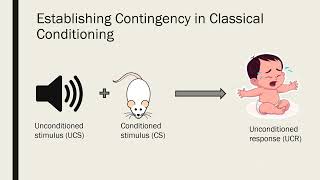 Contiguity and Contingency in Classical and Operant Conditioning [upl. by Holbrooke]