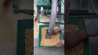 feed pellet machine pellet machine a good helper for farmers chicken farmingshorts [upl. by Eurd]