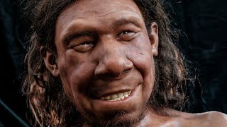 Gezicht voor Krijn Nederlands eerste Neanderthaler  Rijksmuseum van Oudheden [upl. by Neb]