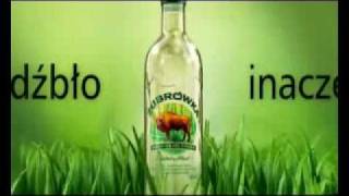 Zubrowka Vodka [upl. by Lenee]