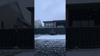 Heavy bands of snow dump in Denver Colorado [upl. by Kacerek]