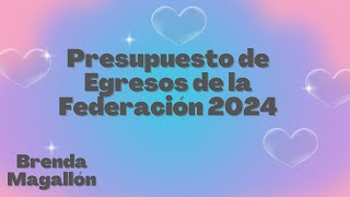 Presupuesto de Egresos de la Federación 2024 [upl. by Bessie]