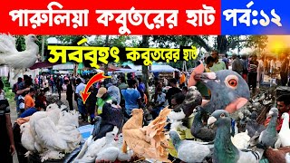 ফেন্সি কবুতরের সর্ববৃহৎ হাট  kobutor hat 2024  pigeon market in bangladesh  fancy pigeon price [upl. by Gunnar]