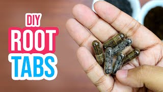 🌱☘️ Boost Plant Growth with Homemade Root Tabs for Aquariums 💦🐠 [upl. by Arinaj]