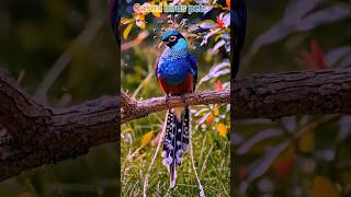 Amazing ai bird nature birdsong wildlife birdsingingmusic birds animals aiart shortsfeed [upl. by Sheryl]