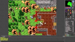 Tibia 73 Sorc hunting in Plains of Havoc [upl. by Mizuki257]