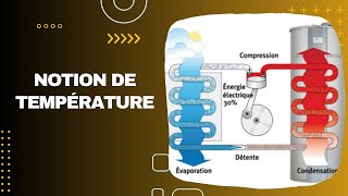 Notion de température [upl. by Ahseiym]