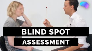 Blind Spot Assessment  OSCE Guide  UKMLA  CPSA [upl. by Teplica]