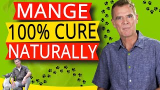 How To Treat Mange In Dogs Naturally 100 Effective Home Remedy [upl. by Tove]