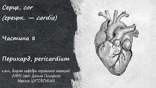 Анатомія серцяЧастина 8Перикард pericardium околосердечная сумка [upl. by Arissa]