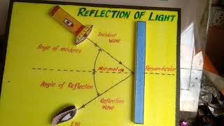 A2Z project and model palwal SciTLM model of Reflection of Light for Sci Bed [upl. by Sadler43]