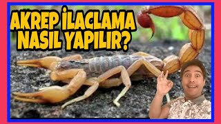 En kaliteli akrep öldüren ilaç hangisidir DÜNYANIN EN İYİ AKREP ÖLDÜREN İLACI HANGİSİDİR FİCAM W [upl. by Terrilyn]