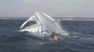 EXTREME SAILING Best of [upl. by Aivax634]