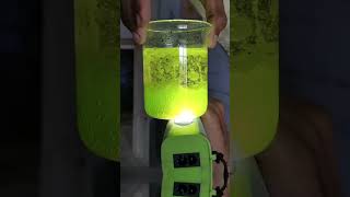 STEAM MUQABLO2025 LAVA LAMP Experiment 🧪 was conducted [upl. by Nilatak71]