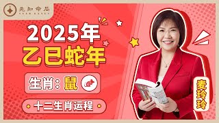 麦玲玲师傅详解2025蛇年运程：生肖鼠！事业运、财运、人际关系、爱情、婚姻、健康全解析！ [upl. by Htinnek244]