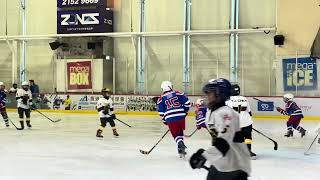 2024 Mega ice hockey5‘s U11 HK TYPHOONS SELECTS VS TIGERS HOCKEY CLUB 312 [upl. by Cheyney]