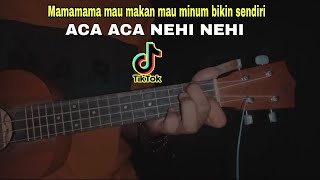 Aca Aca Nehi Nehi  Dadido Cover Kentrung senar 4 MS [upl. by Ezalb]