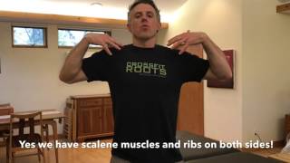 StabilityWOD 16 How To Self Correct an Elevated 1st Rib [upl. by Nosam843]