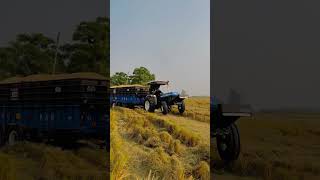 New Holland 3630 Special Edition [upl. by Euqirat]