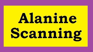 Alanine scanning [upl. by Avad]