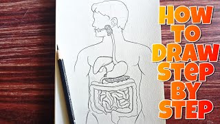 how to Draw Human Digestive System Drawing human digestive system Diagram stepbystep [upl. by Turley]