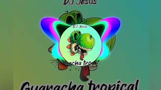 DJ Jesús tema 💥clavala Guaracha tropical 🔥 [upl. by Arlan151]