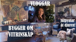 VLOGG  Bygger vitrinskåp gör julklappar och julpyntar åt djuren [upl. by Kenimod797]