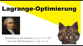 Wie wendet man Lagrange Optimierung an [upl. by Atisor]